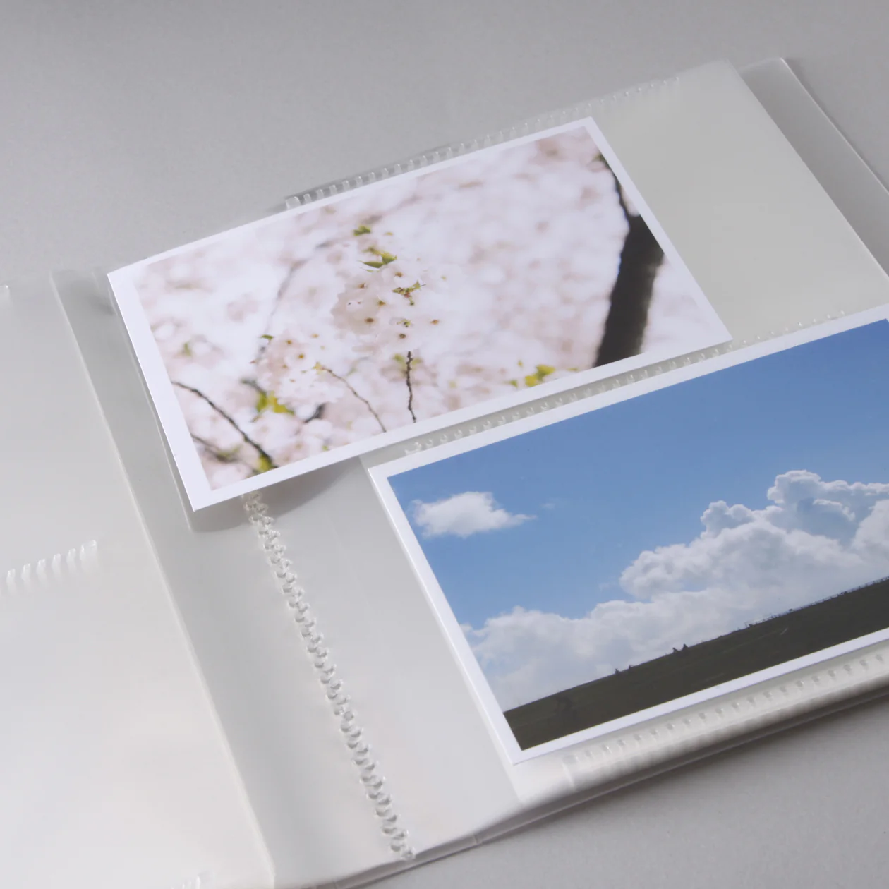 Polypropylene Album - Image 6