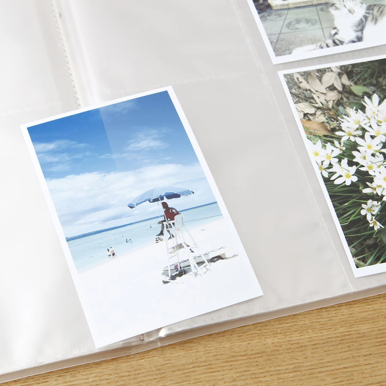 Polypropylene Photo & Postcard Holder - Image 5