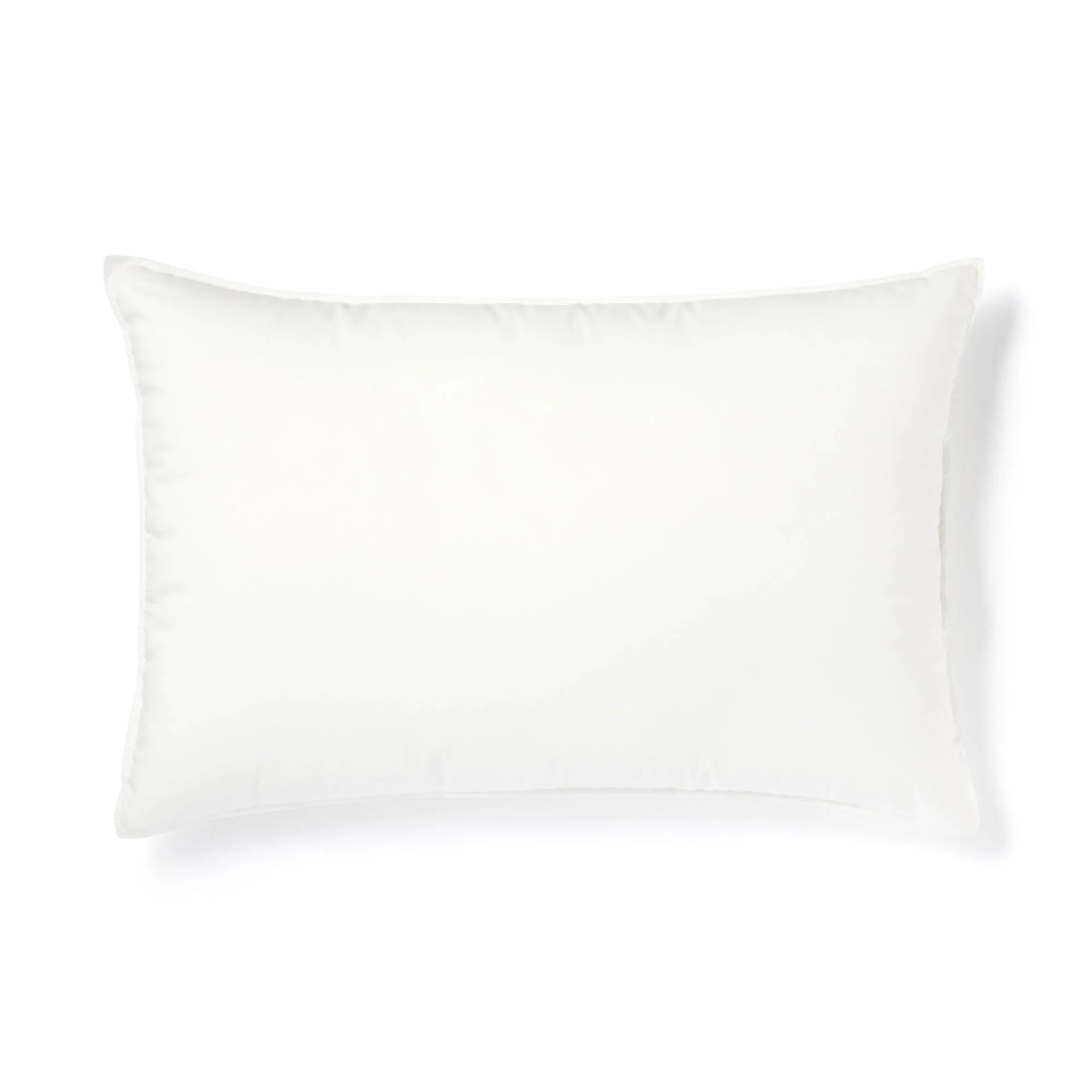 Quick Dry Fluffy Pillow (17 x 25")