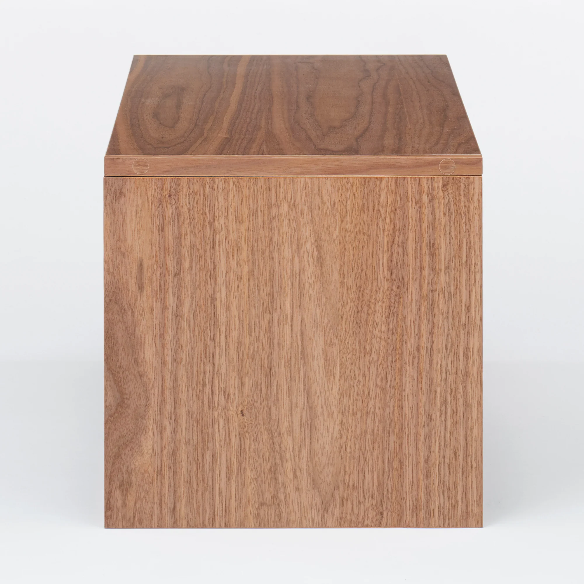 SUS Shelving Unit Box with Glass Door - Walnut - Image 5